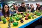 植物大战僵尸道具接力赛：欢乐对决，共创辉煌