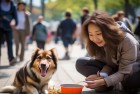 女子公共餐具喂狗，网友热议温馨场面