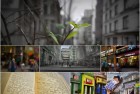 街头惊喜挑战：我们一起玩找不同找茬，拼图游戏乐趣无限