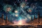 俄罗斯跨年夜空袭惊喜：璀璨星空下的梦想与挑战