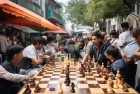 跳棋挑战赛：激情街头，智慧对决