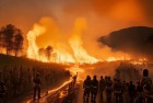 天水一地山火英雄事迹：消防员英勇扑救，社区共庆平安回归