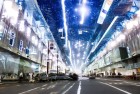 动物园之星：温馨满满·萌趣无限·点亮梦想之旅