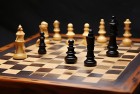 跳棋挑战：探索智慧与体验的乐趣，我们一起成长