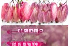 18元外卖包装费6元：体验环保挑战，我们一起关注