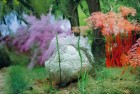 成语接龙：趣味体验传承中华智慧