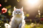 花园逗趣时光：围住神经猫，成语接龙，我们一起闪耀星星挑战惊喜