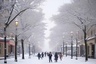 南方大范围降雪来袭：街头惊喜体验，冬日经典风光