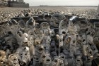 跑跑卡丁车排位挑战：激情梦想的赛道体验