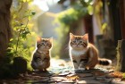 猫鼠欢乐互动：波西亚时光与堡垒之夜的友谊挑战