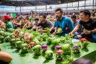 植物大战僵尸赏金赛：激情英雄挑战之旅