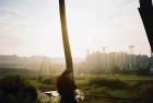 亿万僵尸末日塔防：携手挑战脑洞大开生存之旅