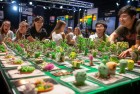 植物大战僵尸赏金赛：激情挑战，绿色智慧游戏盛宴