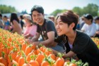 保卫萝卜情侣赛：挑战甜蜜体验，共筑浪漫激情
