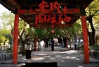保卫萝卜挑战关卡：我们一起体验经典