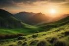 游客放烟花致山火：环保意识加强与景区安全管理启示
