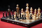 象棋新布局：神奇宝贝助力抵御僵尸，挑战体验经典灵魂，惊喜无限