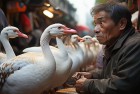 街头卖鹅男子被大鹅眼神打动，意外放生温馨上演