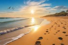 山东海滩阳光沙滩欢乐时光：驱拍照、沙滩排球全景记