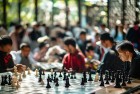 跳棋挑战赛：激情体验智慧的碰撞