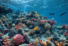 神秘海域挑战数字逻辑的极限：绝地求生与刺激战场的智慧较量