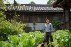 保卫萝卜之战：甜蜜守卫与自然和谐体验