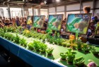 植物大战僵尸积分赛：激情挑战，惊喜不断