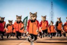 汤姆猫跑酷团队赛：激情挑战，精彩瞬间回顾