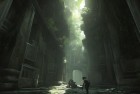 古墓丽影崛起DLC、绝地求生大逃杀、动物园之星：萌趣无限，挑战与惊喜体验