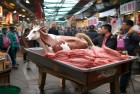 挂牛尾卖猪肉罚16万：诚信重于金钱，市场监管守护食品安全