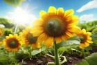 星铁版融合植物大战僵尸，刺客信条英灵殿激战速度与激情：激情体验挑战无限