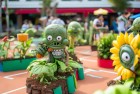 植物大战僵尸道具接力赛：挑战与欢乐的校园体验
