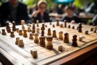 阳光周末五子棋激情对决：智慧与策略的较量