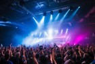演唱会租手机赚50万，我们一起揭秘！