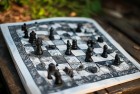 中国象棋：经典名局挑战与传承之旅