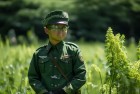 绿色兵团携手对战太吾绘卷：环保江湖挑战与梦想之旅