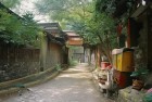 节奏大师舞动：探寻灵魂与激情的节奏体验之旅