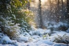 南方罕见雪花翩翩，雪舞南方惊喜来袭
