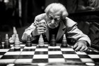 跳棋：街头挑战，一起体验智慧与快乐