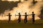 弓箭手大作战淘汰赛：梦想挑战，惊喜连连的英雄角逐