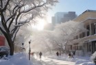 南方大范围降雪来袭，街头惊喜，我们一起见证南方罕见雪景