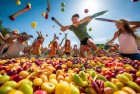 夏日水果忍者赏金赛：激情挑战，指尖上的速度与技巧