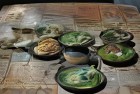 猜谜语的快乐探险：挑战惊喜，智慧之星
