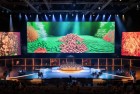 我的世界表演赛：创意挑战与惊喜体验