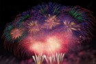 美国烟花爆炸悲剧：3死20伤，美丽瞬间后的伤痛
