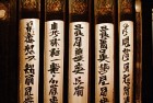 天天酷跑多人赛：激情体验，一起畅跑