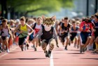 汤姆猫跑酷淘汰赛：激情挑战，梦想飞跃