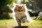 围住神经猫：逗趣惊喜，黑暗中的亲子挑战