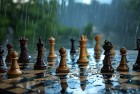 暴雨中的多多自走棋：英雄挑战与黑暗惊喜
