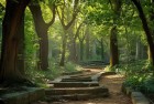 迷宫大冒险：挑战与惊喜的奇幻旅程